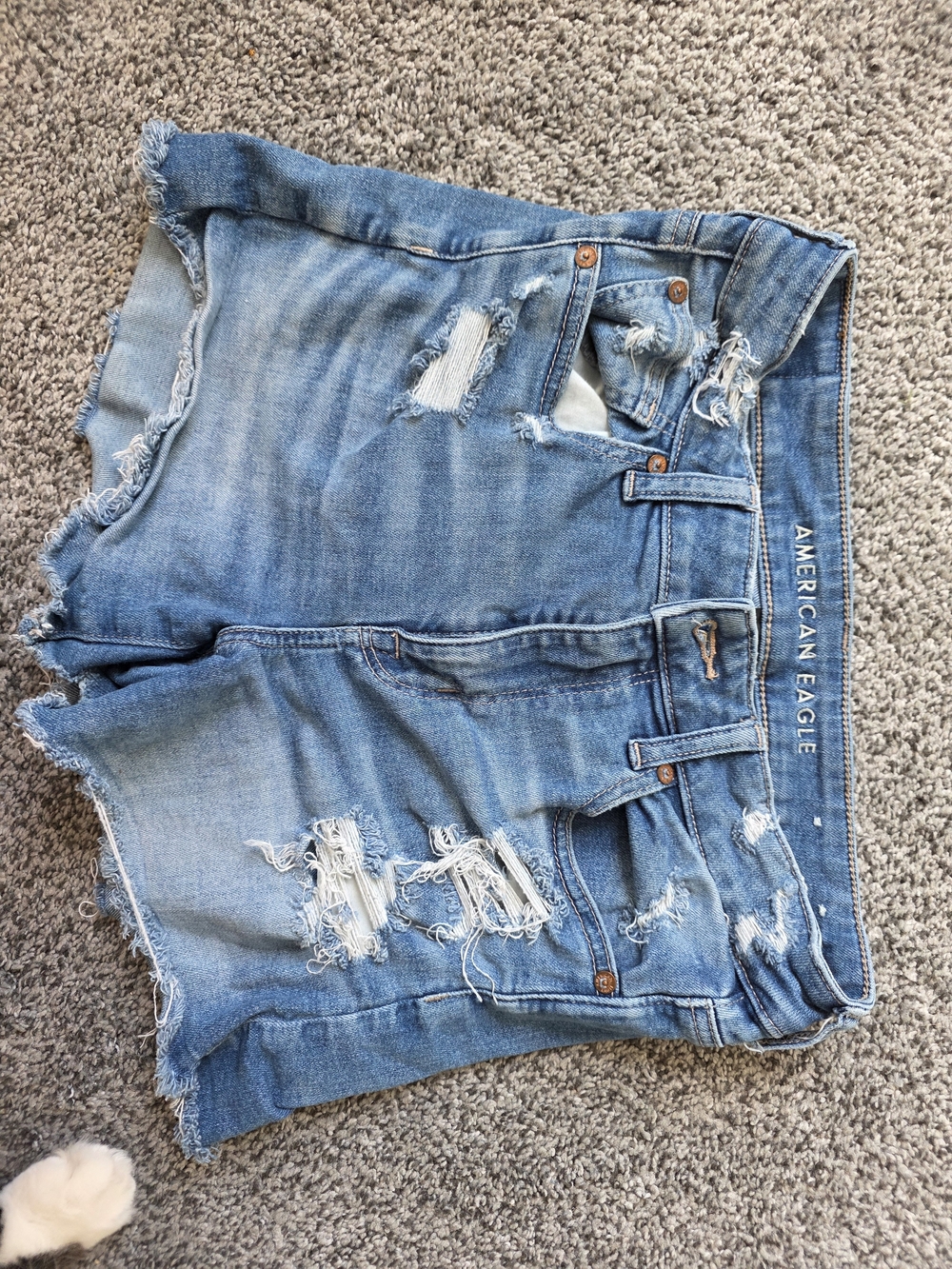 American Eagle Outfitters Distressed Light Blue Denim Cutoff Shorts